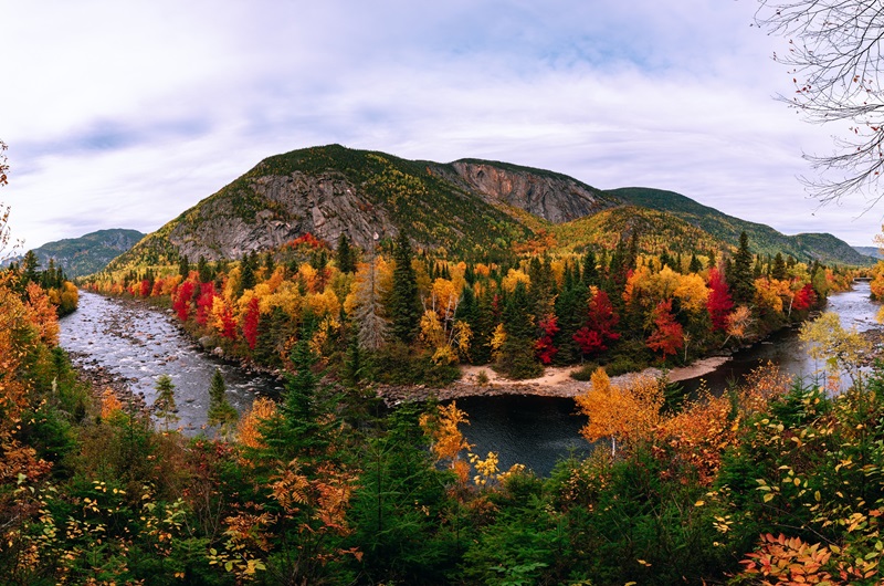 https://viagemonline.pt.tui.com/pt/idea/20976734/outono-no-canada-partida-especial-de-barcelona 